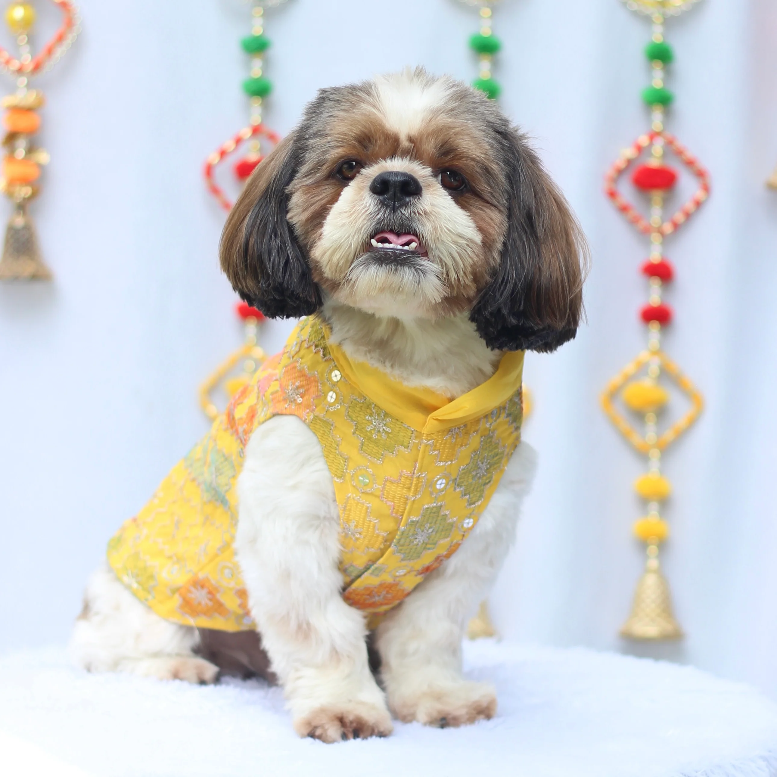 New Listing indian june 24