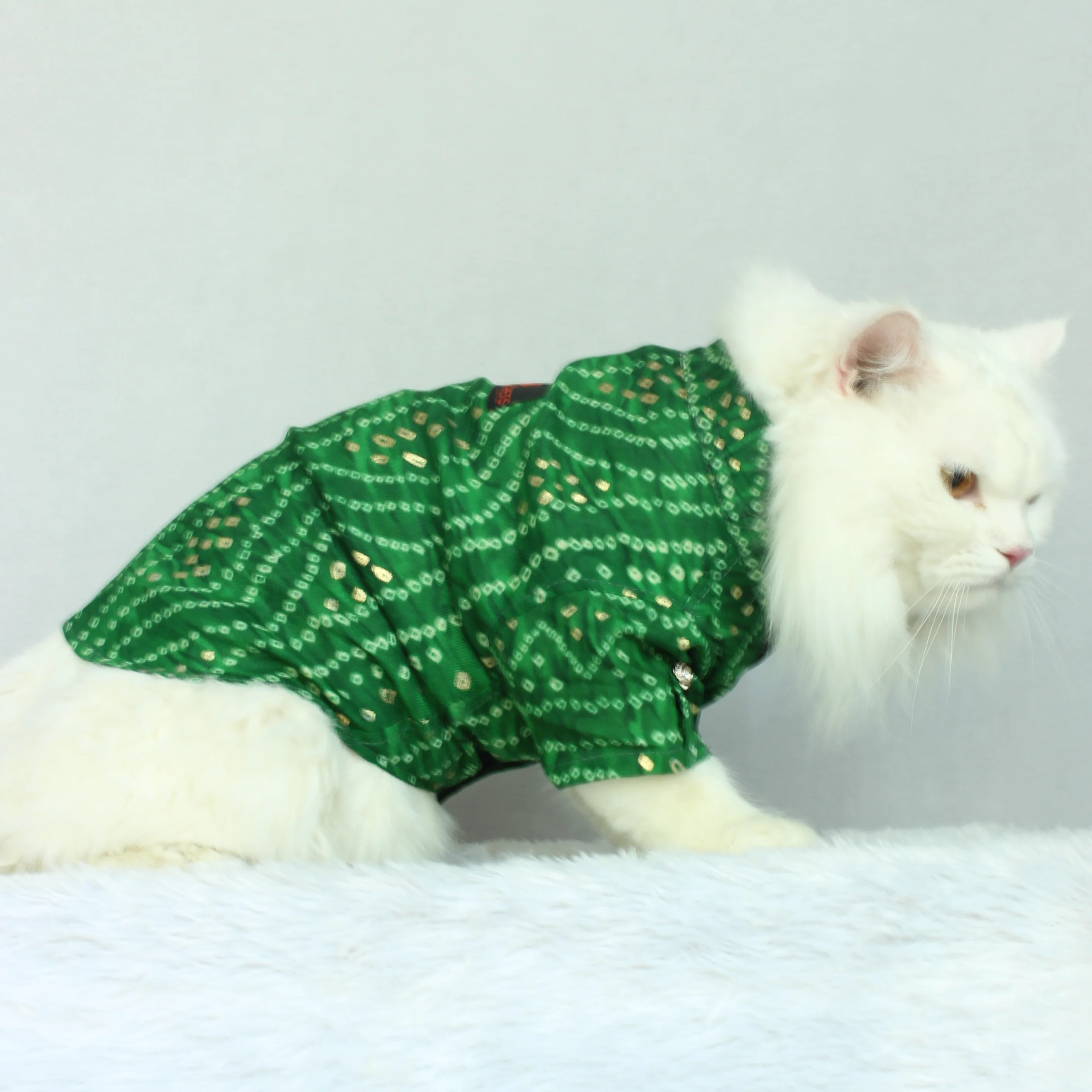 Indian Wear Cat (Pawgy Pet Festive kurta Hot Pink Gota)